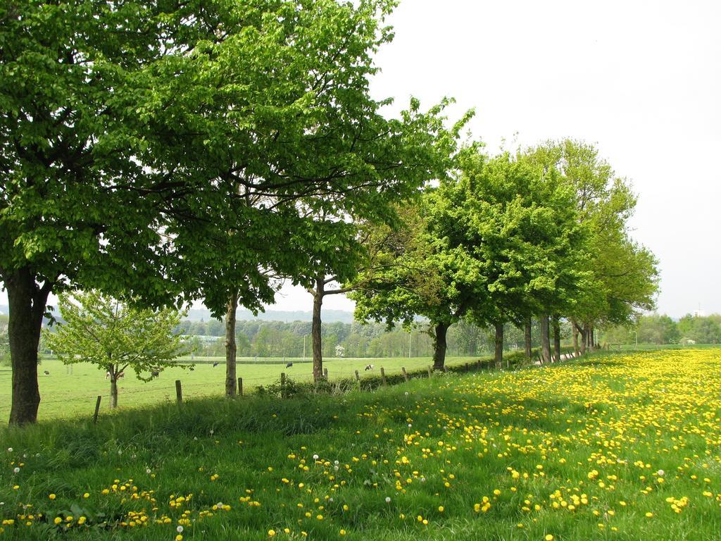 Bed & Breakfast Huize Mesch Eijsden